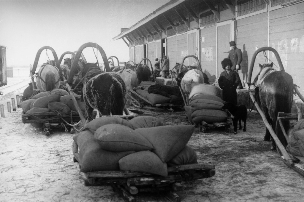    Фото © ТАСС