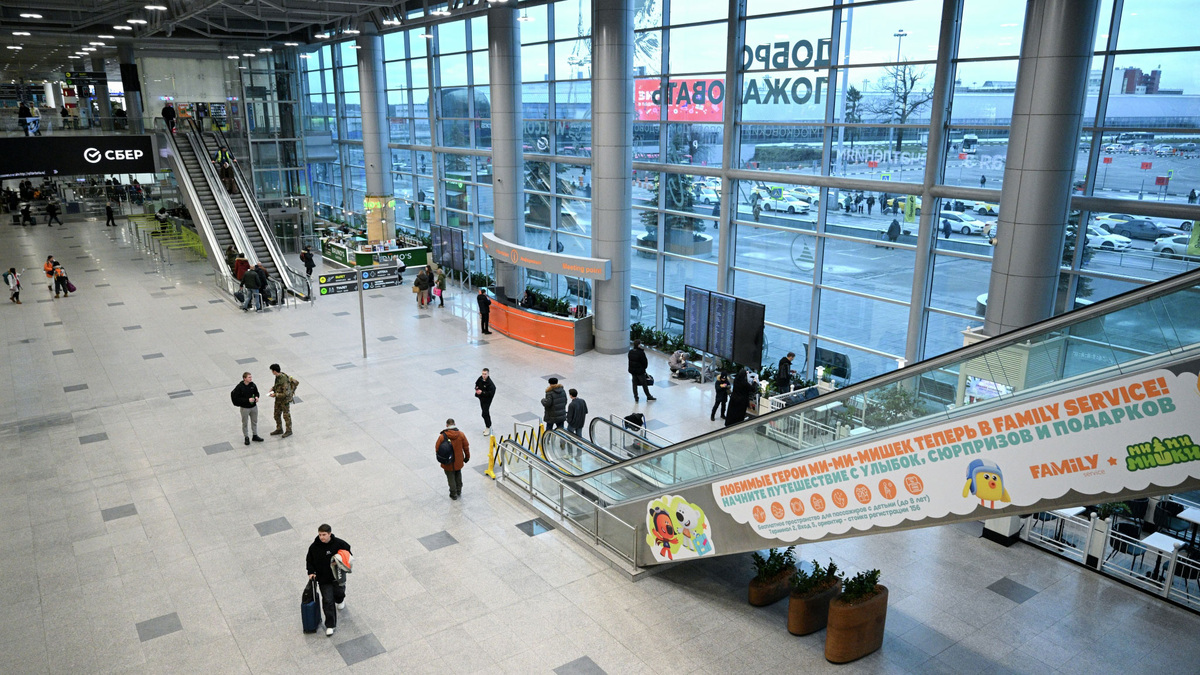    Аэропорт Домодедово РИА