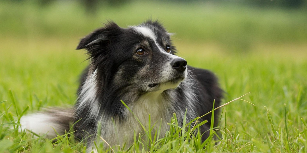 До последнего верила...