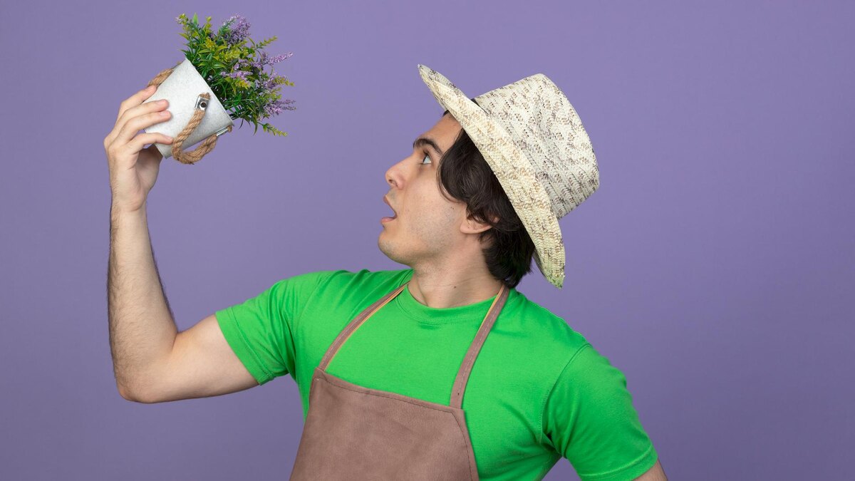 Фото: freepik.com