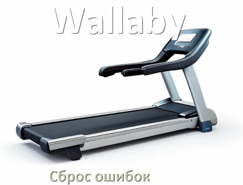 
Как на беговой дорожке Wallaby исправить ошибку и сбросить коды E2, E1, E3, E6, E07
