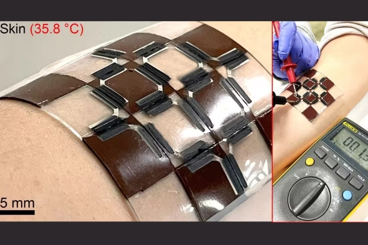    Фото: science.org