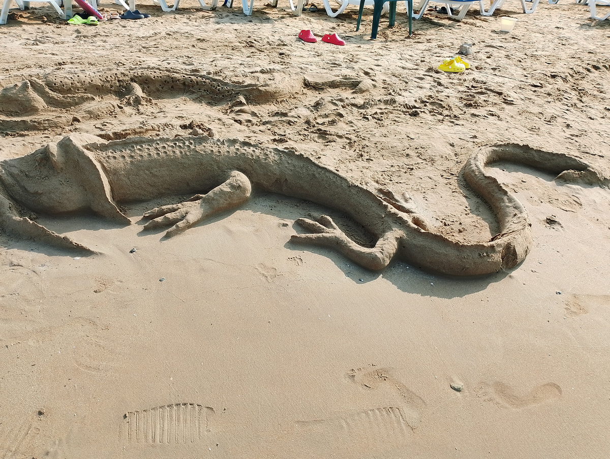 Люди, вероятно, единственные существа, которые осознанно тратят время жизни на то, что гарантированно исчезнет из жизни. Как это земноводное, сделанное из песка, уйдет из существования во время вечернего прилива.