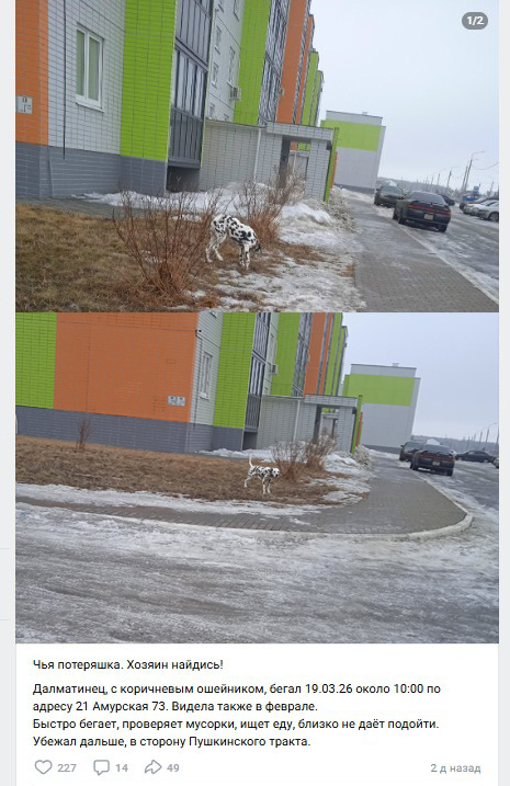 Сердце у нас, конечно, ёкнуло...