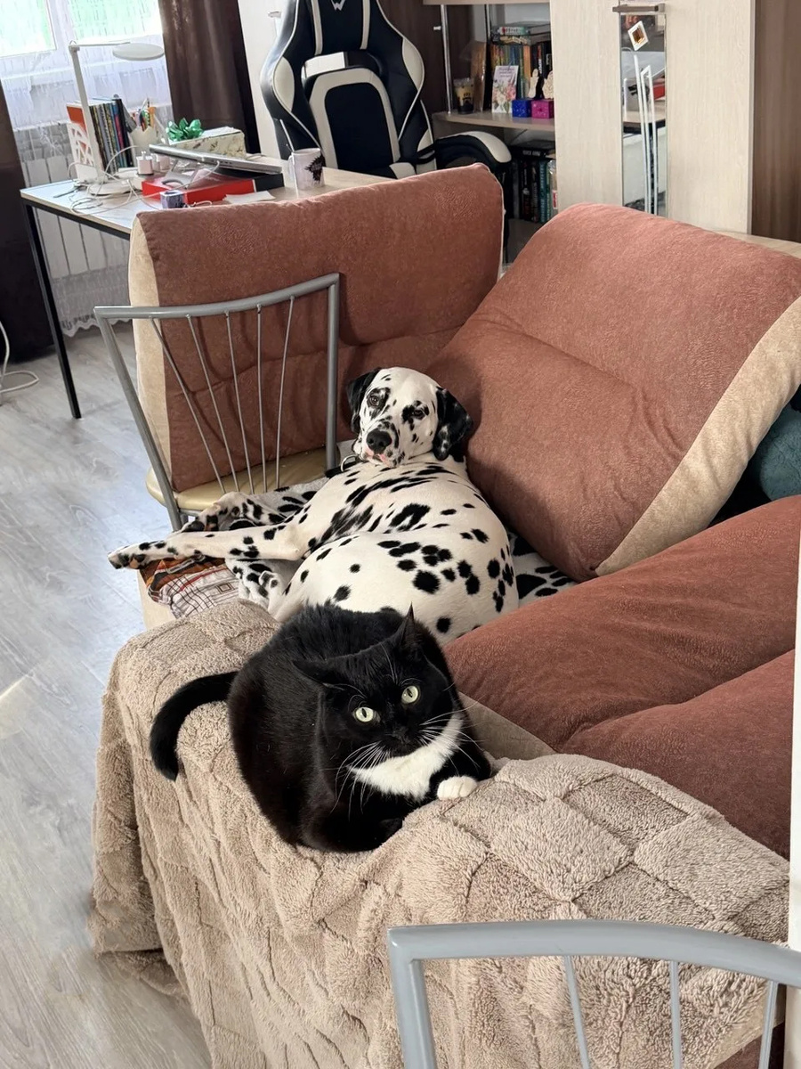 На связи — наш выпускник Ролли, а ныне — Лаки!