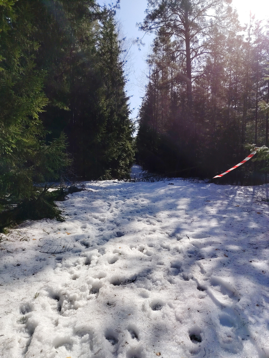Автор на бегу ещё и фото видео успевала снимать на всякий случай 🤣