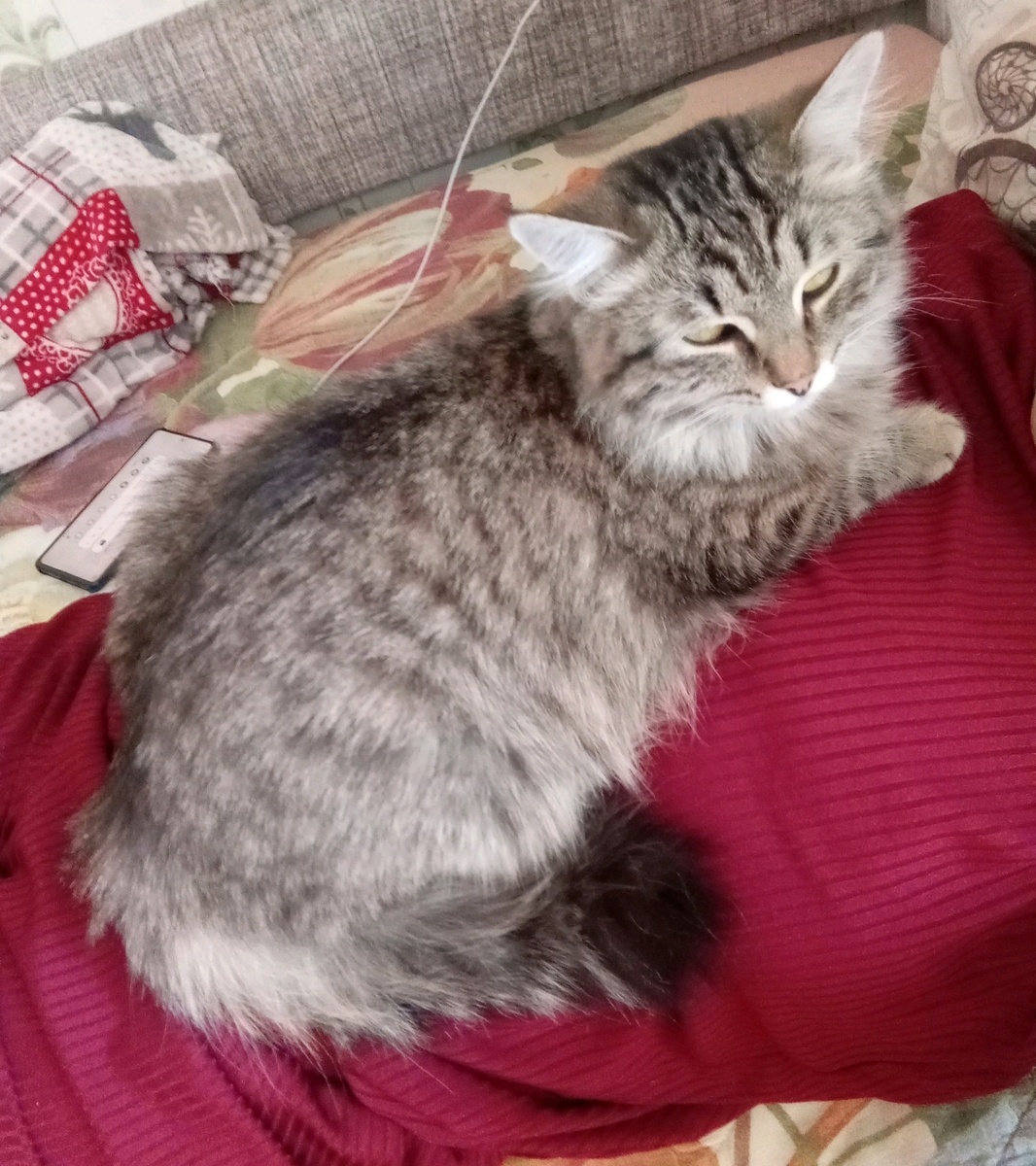 Обычно Люся так только с Сашей лежит, но что-то с ней сегодня произошло и она пришла ко мне 😁 соскучилась, наверное 😊