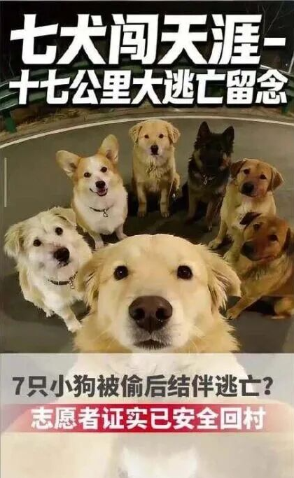 Источник: Вичат 