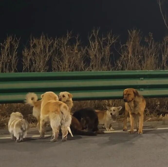 Источник: Вичат