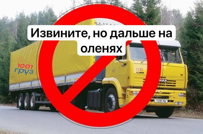 Яндекс картинки