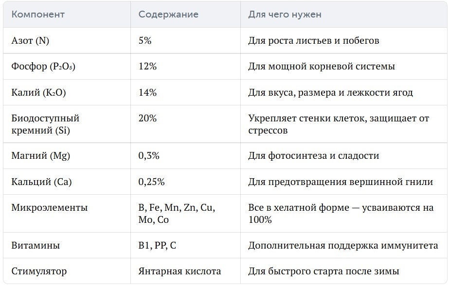 Таблица - состав удобрения Бона Форте. Таблица сосздана с помощью Google документа (автором).