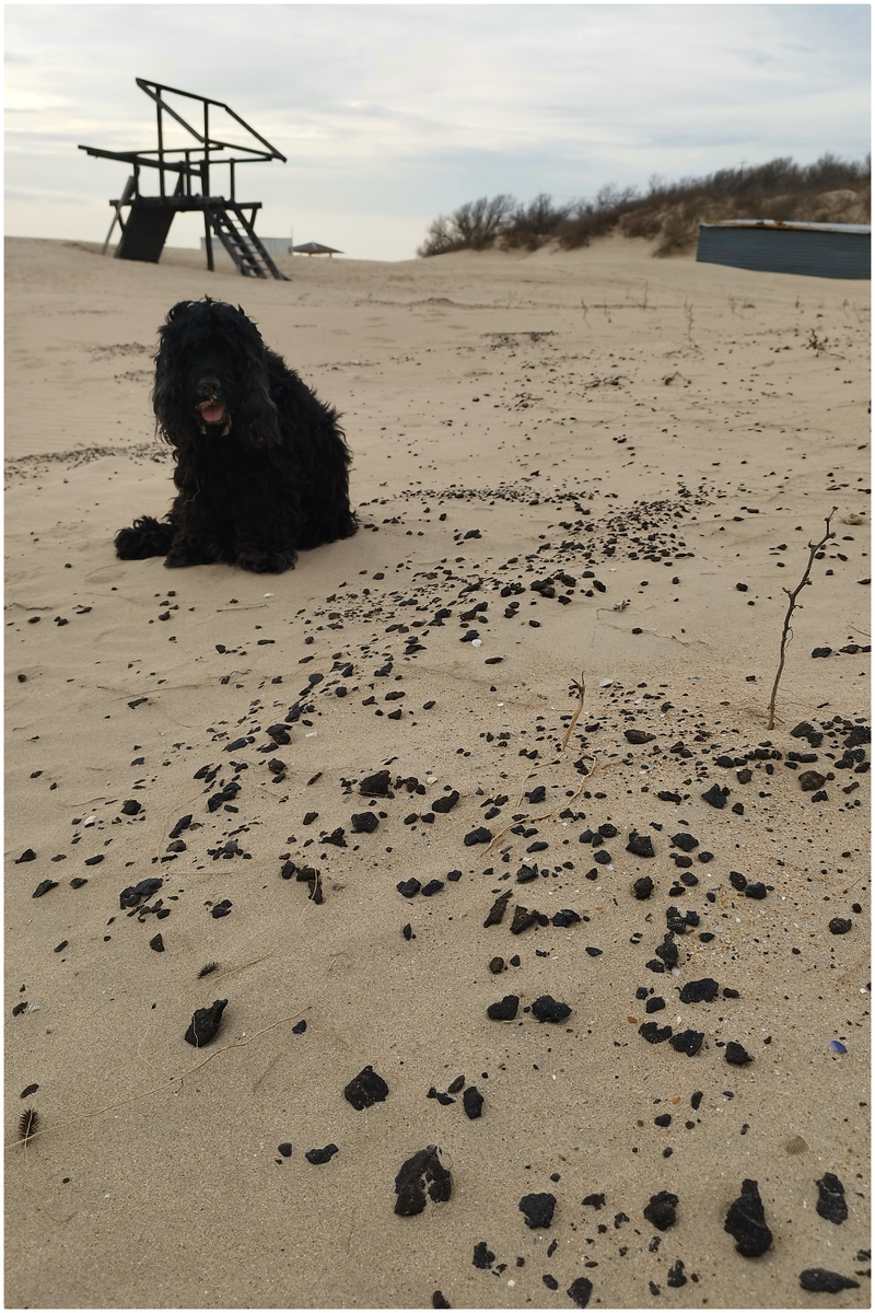 Чёрное вещество (Анапа, 22 февраля 2026)