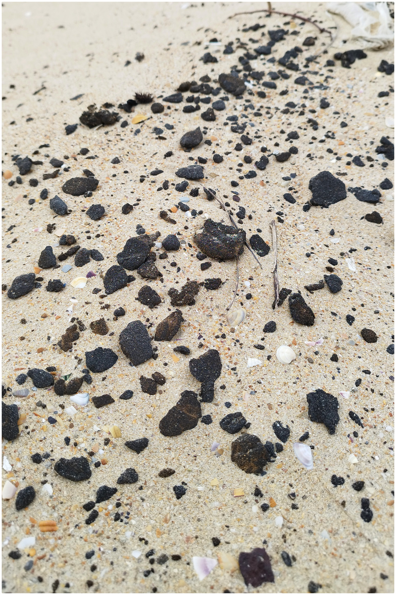 Чёрное вещество (Анапа, 22 февраля 2026)