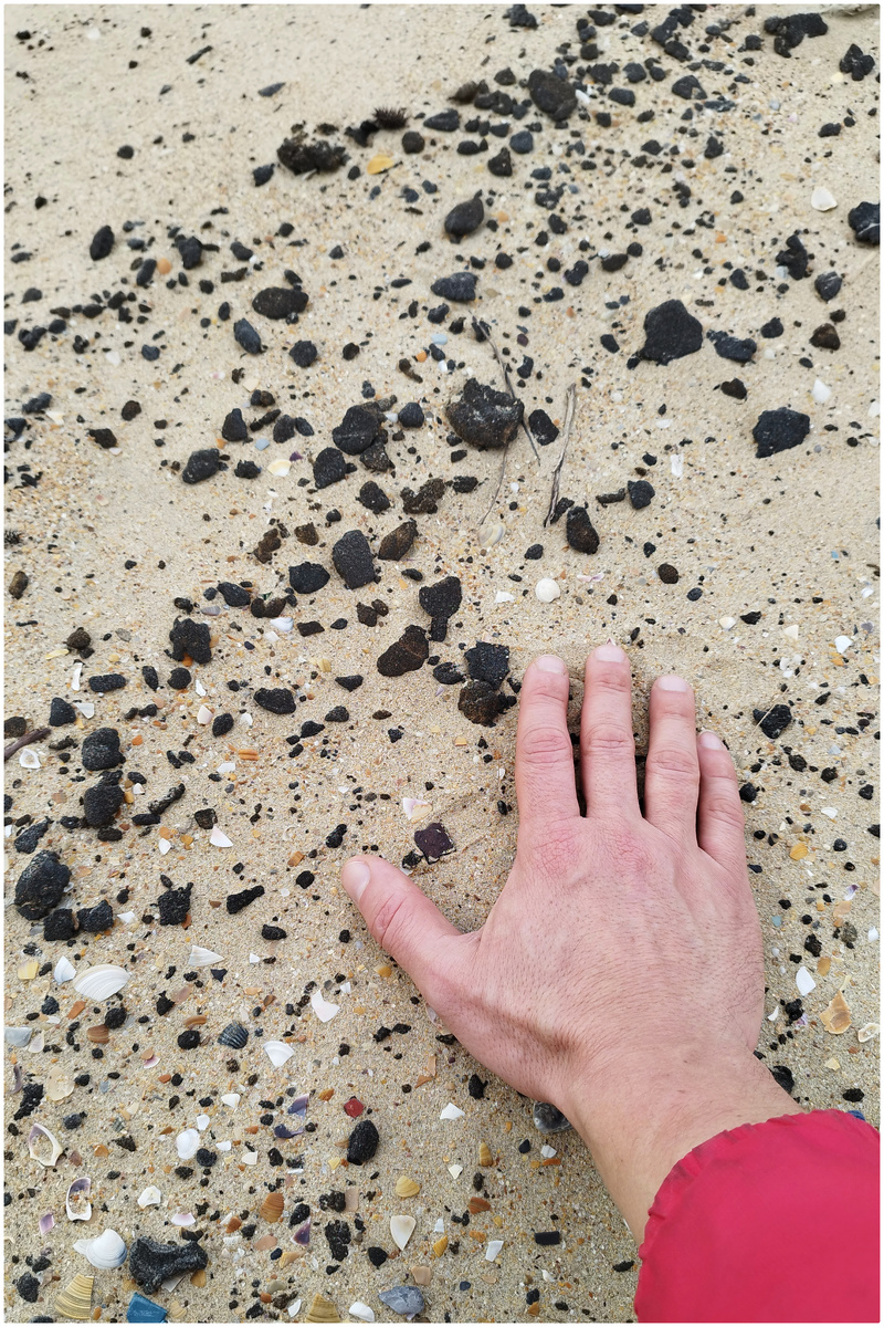 Чёрное вещество (Анапа, 22 февраля 2026)