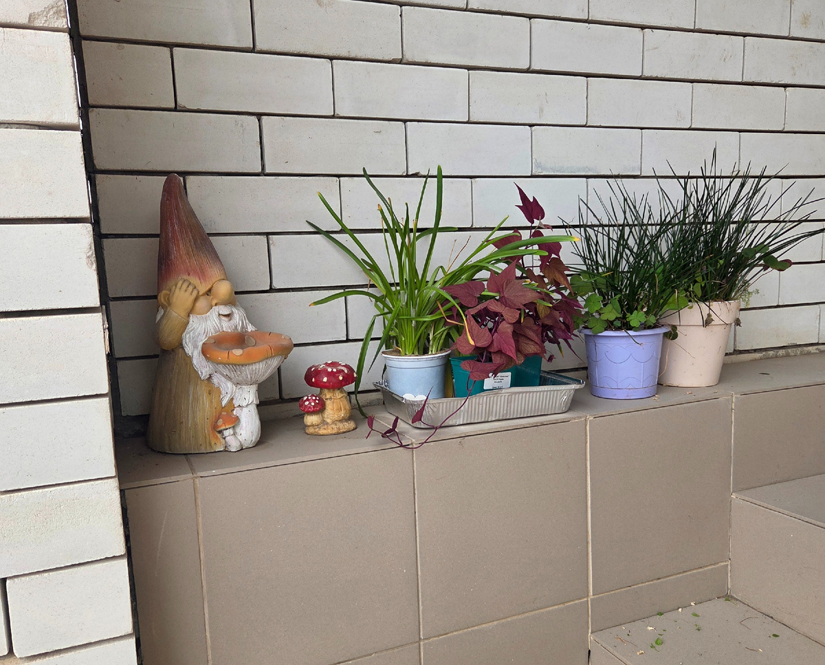 Фото: Зеленая леди, сад, семья и томатный сок