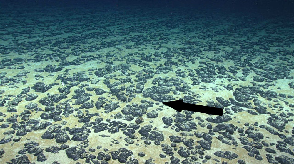    Невероятное открытие на морском дне вызывает научную бурю и сомнения экспертов