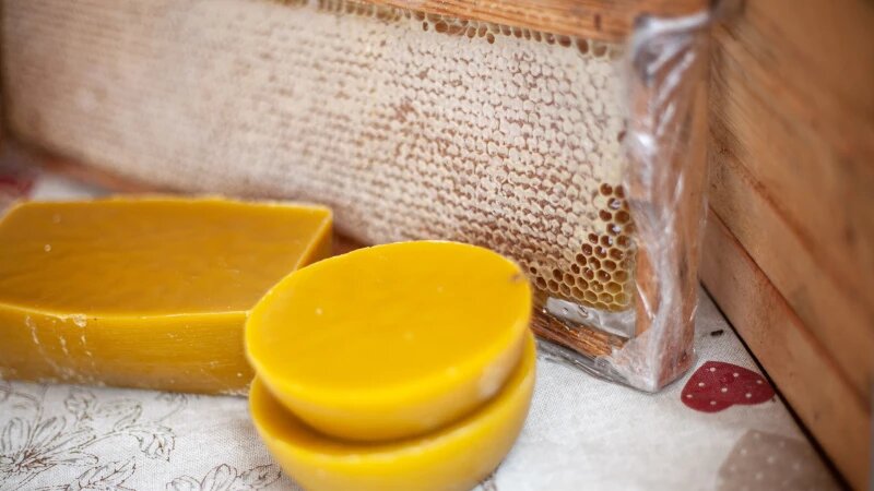     Медовая ярмарка на площади Сахарова. Мед Дарья Беркетова