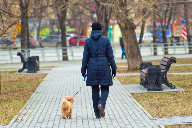 Фото: Дмитрий Куткин ("Вечерний Челябинск")