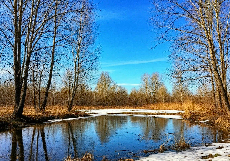 Иллюстрация нейросеть