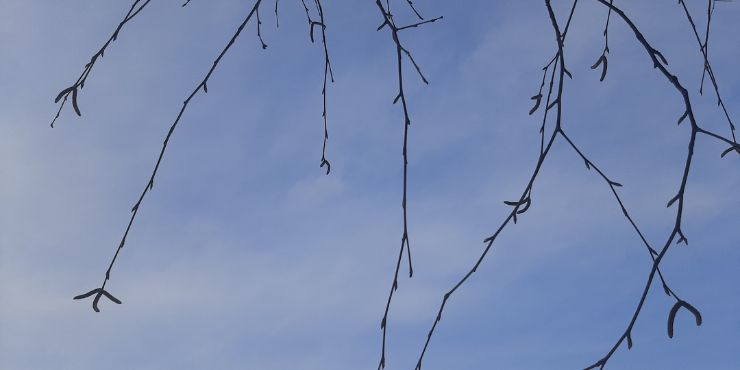 День весеннего равноденствия и Всемирный день поэзии