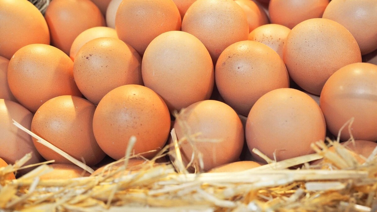    Фото: Takayuki Nakamura / Shutterstock / Fotodom