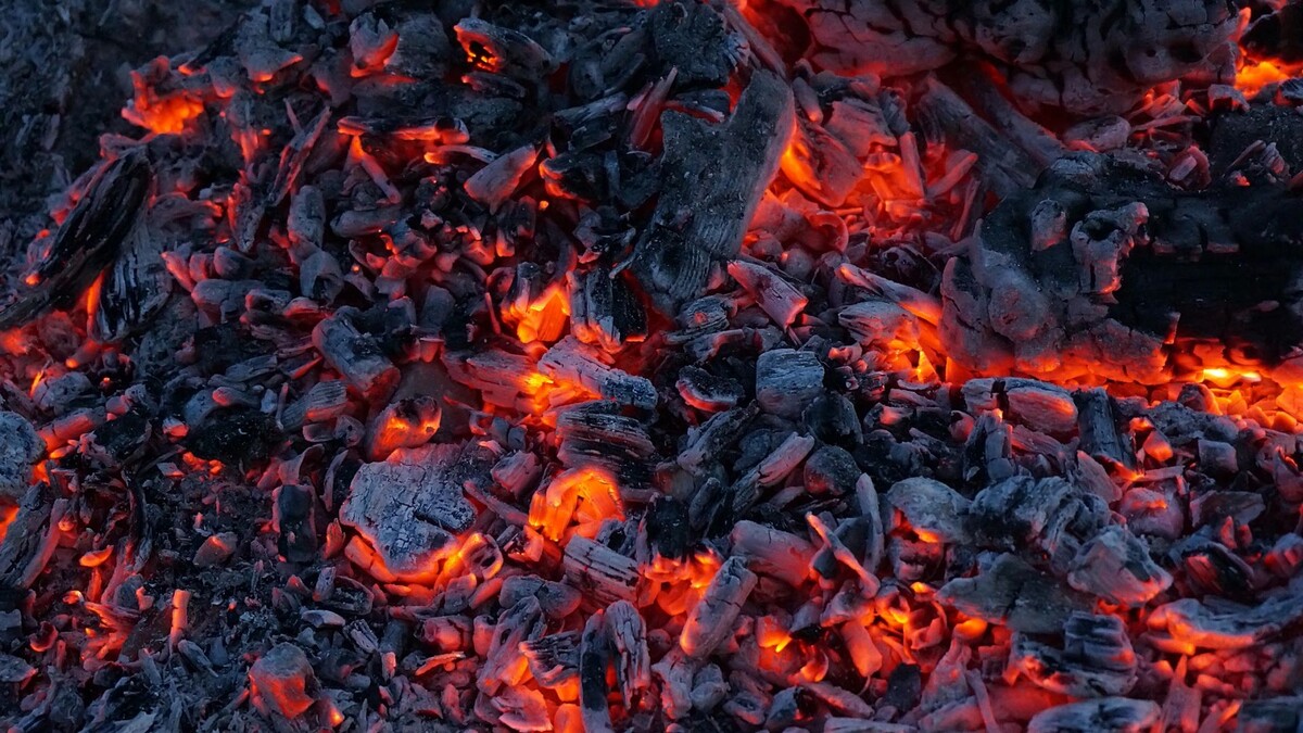    Фото: Melnikov Dmitriy/Shutterstock/Fotodom