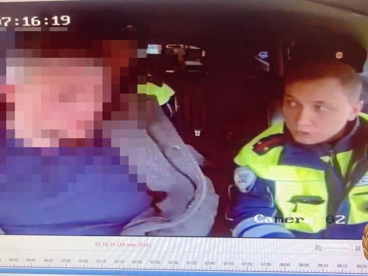     Фото: Госавтоинспекция Республики Мордовия