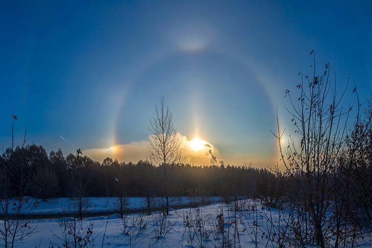    Фото Андрея Заржецкого