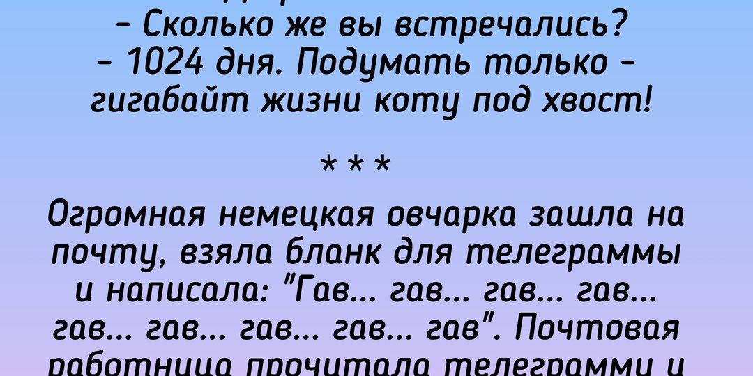 Юмор воскресный: анекдоты подборка для хорошего настроения