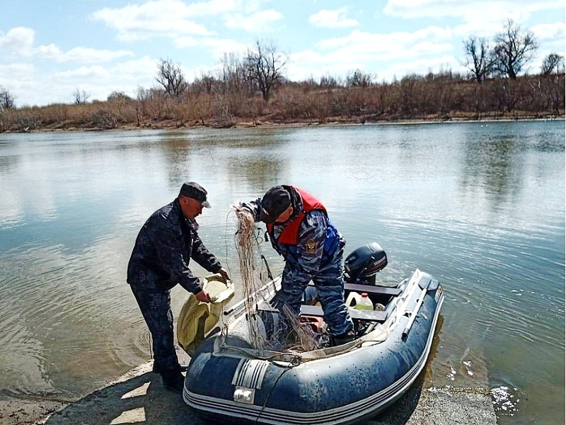 Сняли сетки