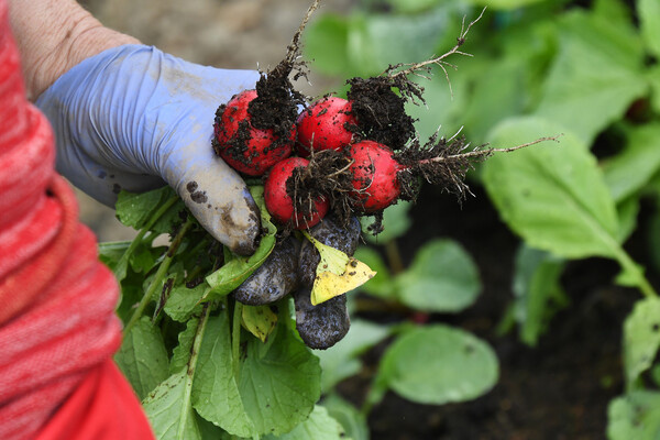 Виталий Аньков/РИА Новости   📷