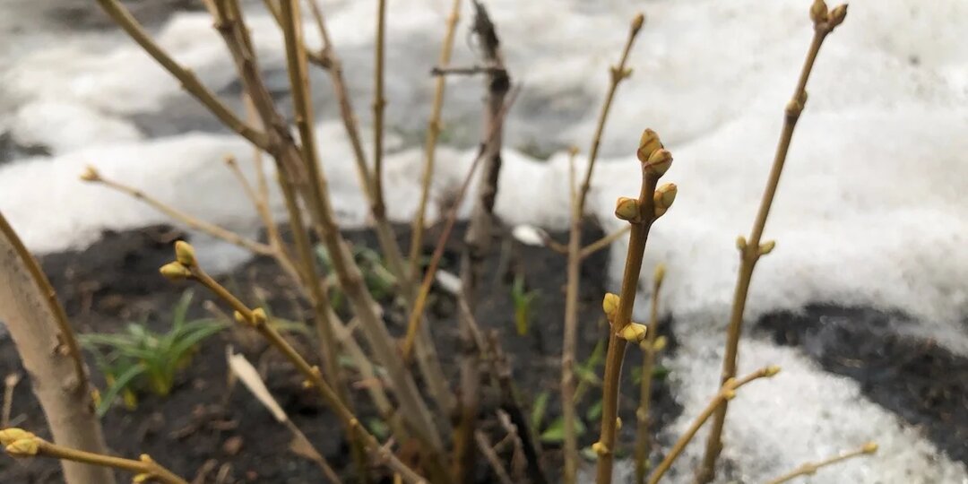 Погода в Стерлитамаке на воскресенье, 22 марта 2026 года