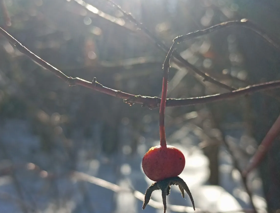 Фото из личного архива автора