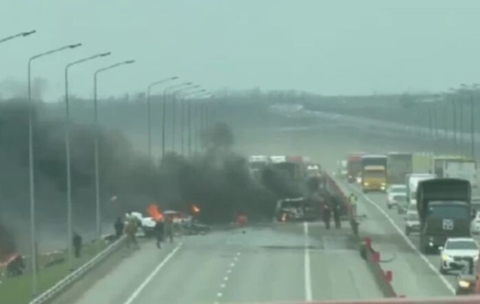 Иллюстрация: соцсети