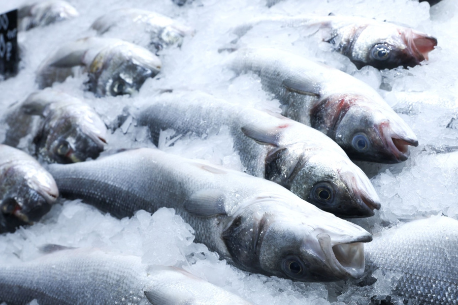    Сергей Булкин/NEWS.ru