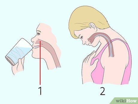 Источник изображения: https://clck.ru/3SgVfw