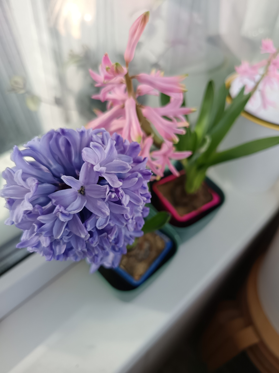 Знатная у них фото сессия была