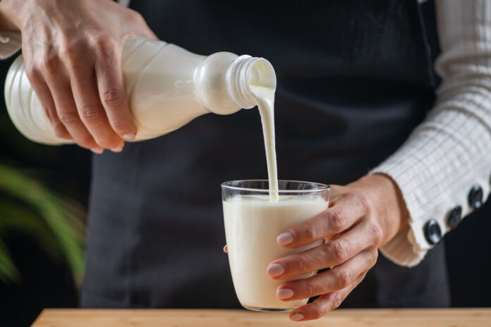    Сенсационное открытие: белорусский кефир с уникальной бактерией долголетия бросает вызов фармацевтической индустрии.