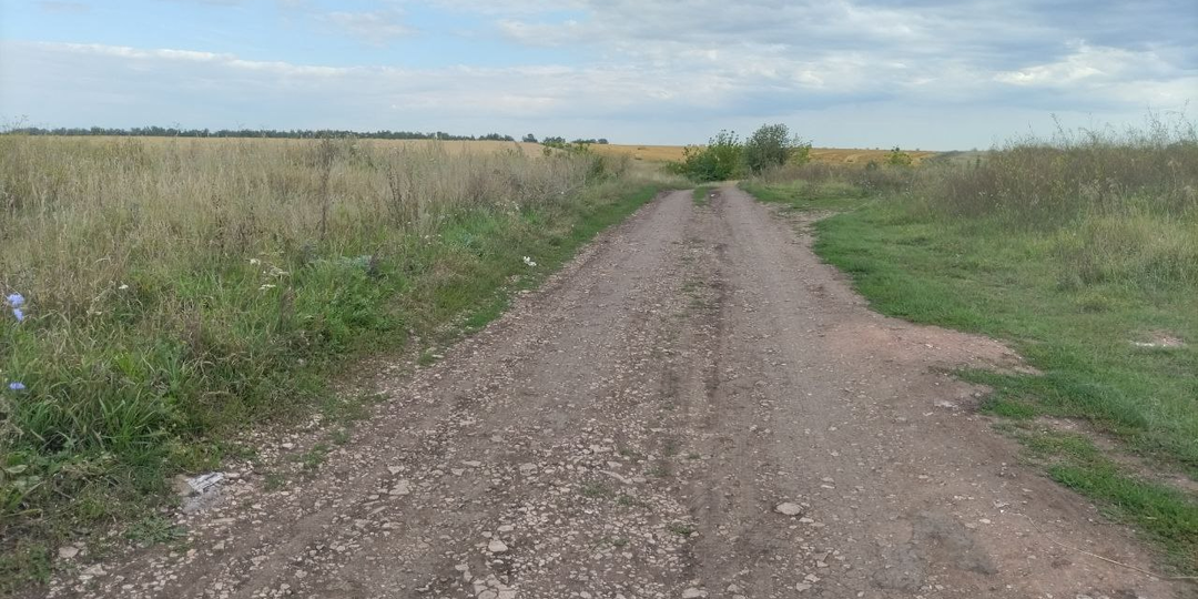 Отличница всегда и везде. Глава 20.