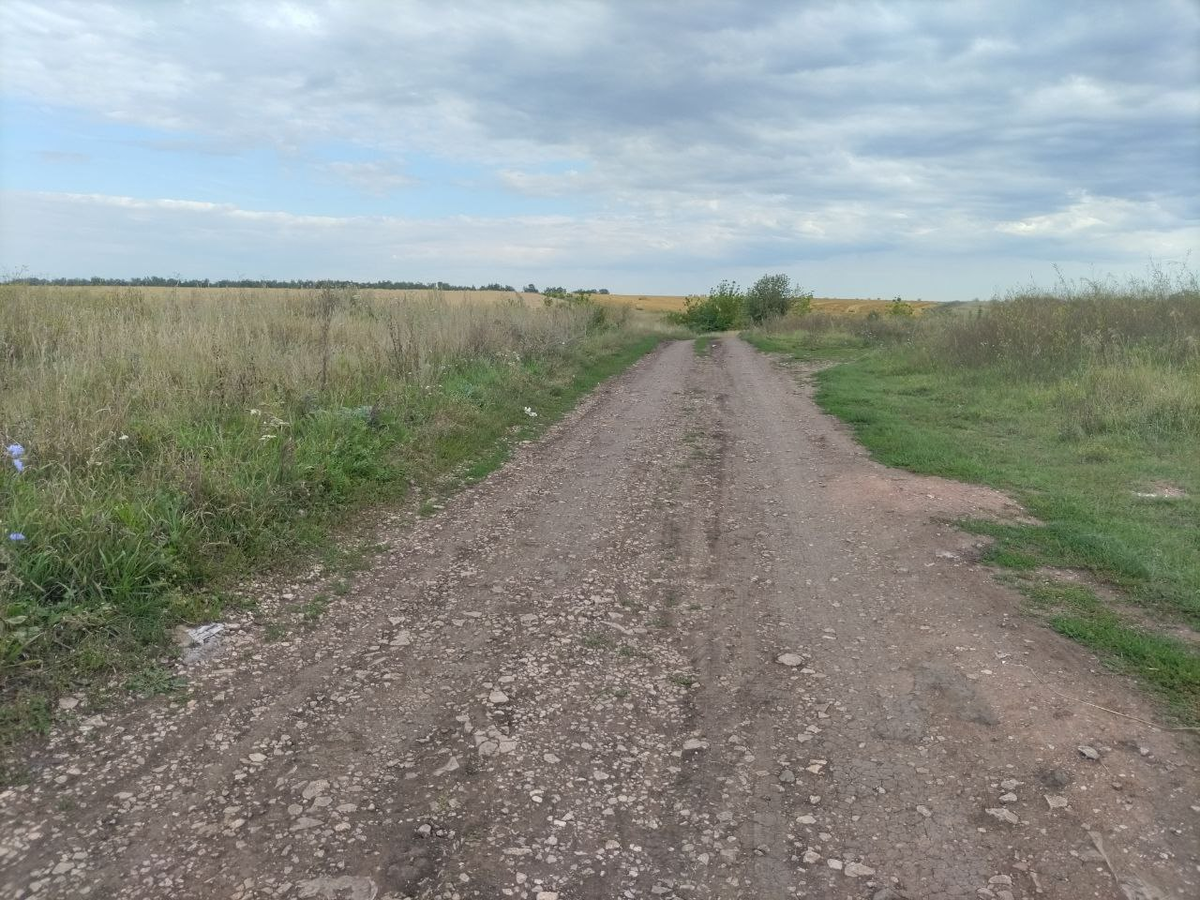 Фото автора.