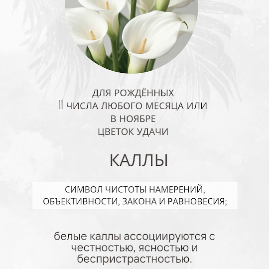 ТАРО и ФЛОРА Цветочный код Арканов: Как активировать свою удачу через энергию растений