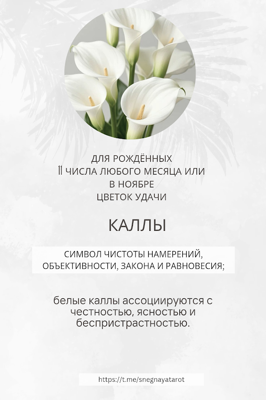 У меня с этими грациозными цветами связано несколько историй.
