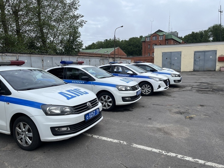     В прошлом году зафиксирован рост погибших до 87 человек. Фото: Архив МК в Великом Новгороде