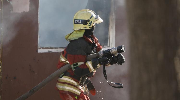     Фото: Павел Колядин (архив)