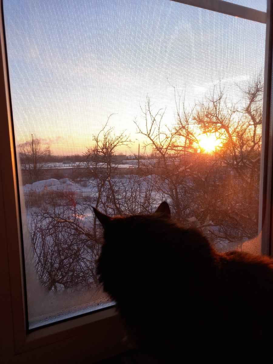 Шкода любуется рассветом