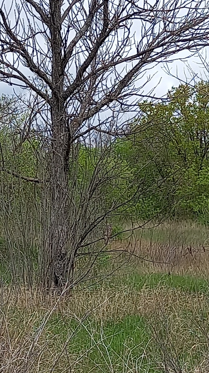 Вы его не видите, а он на вас смотрит
