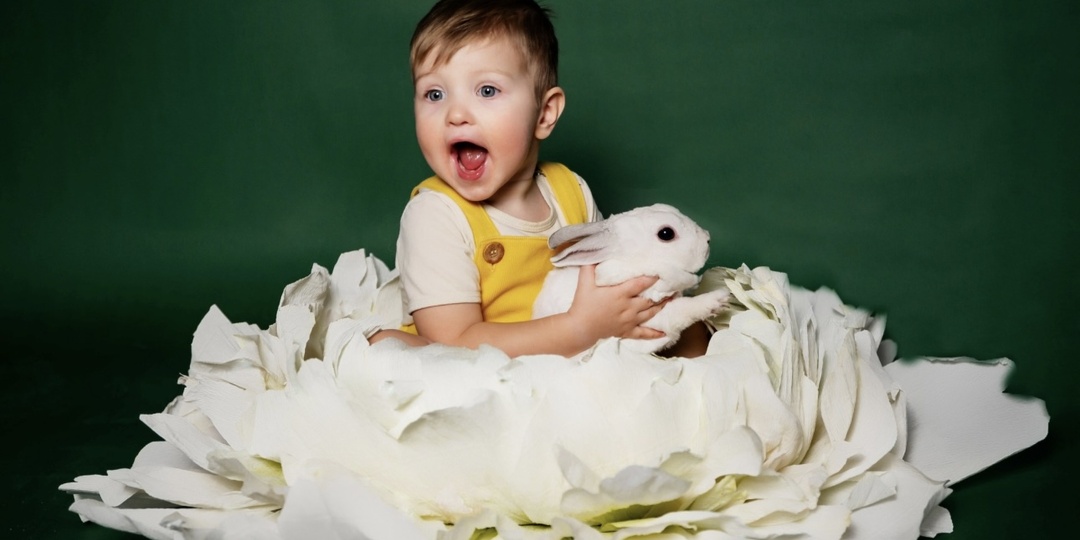 Аренда детской фотостудии в Москве