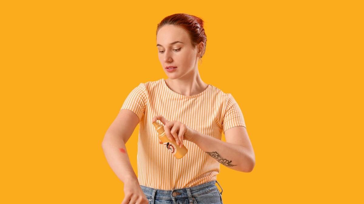    В 2025 году второй пик активности клещей случился глубокой осенью из-за теплой погоды / Фото: Shutterstock