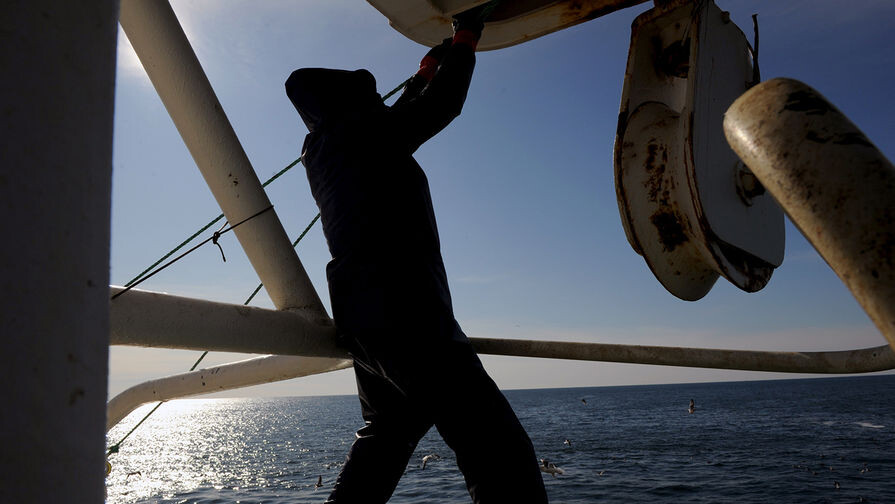 Рыбак на рыбоналивном сейнере-траулере возле острова Кунашир, 2018 год / Андрей Шапран/РИА «Новости»   📷
