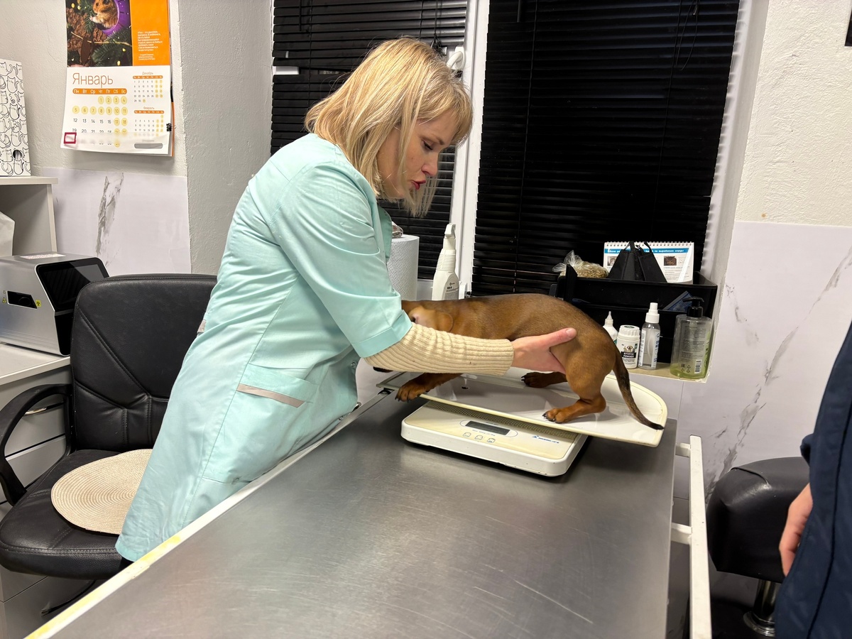    Город Киров.ru